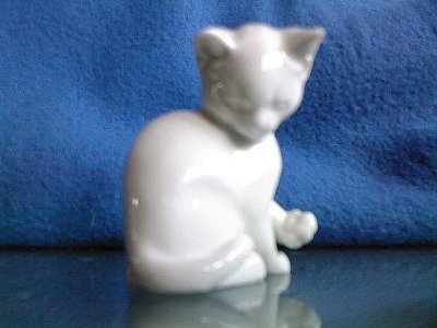 Rosenthal Katze weiß